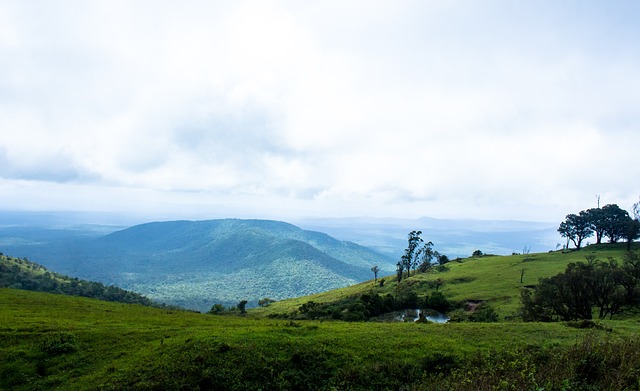 篮球NBA发布最新实力榜，三队并列第一梯队